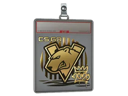 Sticker Slab | Virtus.pro (Gold) | 2020 RMR