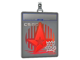 Sticker Slab | Astralis | 2020 RMR