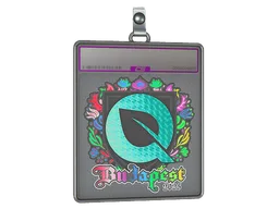 Sticker Slab | FlyQuest (Holo) | Budapest 2025