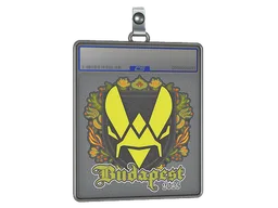 Sticker Slab | Vitality | Budapest 2025