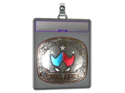 Sticker Slab | Wildcard (Foil) | Austin 2025