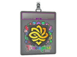 Sticker Slab | Legacy (Holo) | Budapest 2025