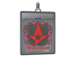 Sticker Slab | Astralis | Budapest 2025