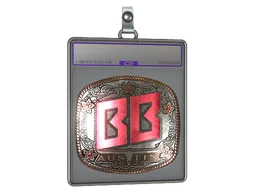 Sticker Slab | BetBoom (Foil) | Austin 2025