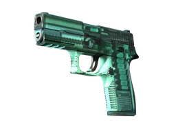 P250 | X-Ray