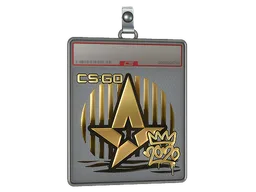 Sticker Slab | Astralis (Gold) | 2020 RMR