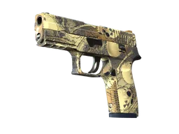 P250 | Contamination (Factory New)