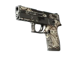 P250 | Gunsmoke