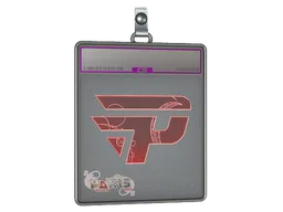 Sticker Slab | paiN Gaming (Holo) | Paris 2023