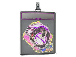 Sticker Slab | Outsiders (Holo) | Rio 2022