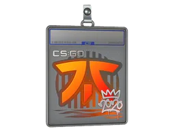 Sticker Slab | Fnatic | 2020 RMR