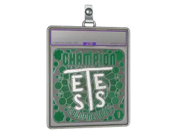 Sticker Slab | TeSeS (Foil, Ranked) | Cologne 2026