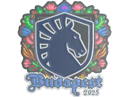 Sticker | Team Liquid (Embroidered) | Budapest 2025