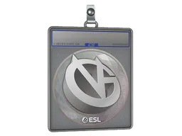 ViCi Gaming