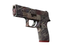 P250 | Facility Draft