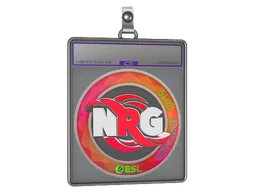 Sticker Slab | NRG (Holo) | Katowice 2019