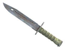 ★ Bayonet | Rust Coat