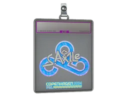 Sticker Slab | Ax1Le (Holo) | Copenhagen 2024