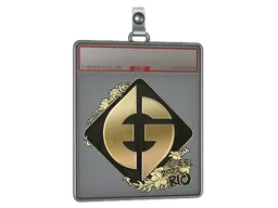 Sticker Slab | Evil Geniuses (Gold) | Rio 2022