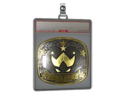 Sticker Slab | Wildcard (Gold) | Austin 2025