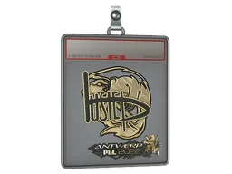 Sticker Slab | buster (Gold) | Antwerp 2022