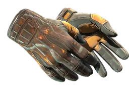 ★ Sport Gloves | Big Game