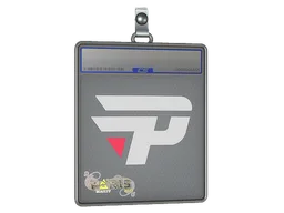 Sticker Slab | paiN Gaming | Paris 2023