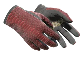 ★ Driver Gloves | Dragon Fists