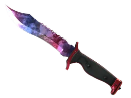 ★ Bowie Knife | Doppler — Phase 1