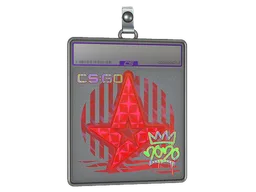 Sticker Slab | Astralis (Holo) | 2020 RMR