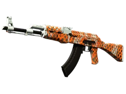 AK-47 | Safety Net