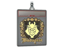 Sticker Slab | G2 esports (Gold) | Budapest 2025