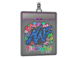 Sticker Slab | NAF (Holo) | Budapest 2025