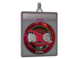 Sticker Slab | NRG (Foil) | Katowice 2019