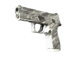 P250 | Sleet