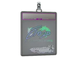 Sticker Slab | xfl0ud (Holo) | Antwerp 2022