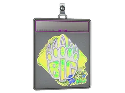 Sticker Slab | BIG (Holo) | Rio 2022