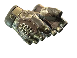 ★ Hydra Gloves | Rattler