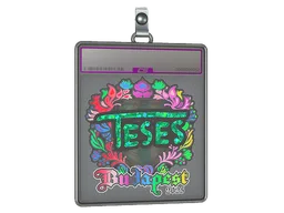 Sticker Slab | TeSeS (Holo) | Budapest 2025