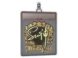 Sticker Slab | C4LLM3SU3 (Gold) | Budapest 2025