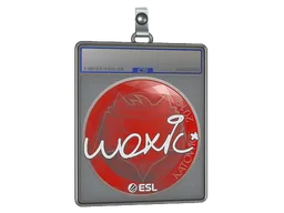 Sticker Slab | woxic | Katowice 2019