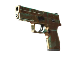 P250 | Verdigris (Factory New)