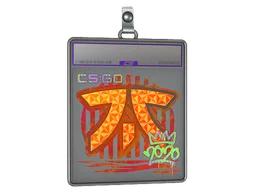 Sticker Slab | Fnatic (Holo) | 2020 RMR