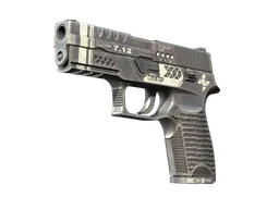 P250 | Re.built (Factory New)