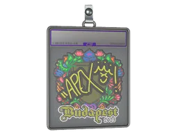 Sticker Slab | apEX (Embroidered) | Budapest 2025