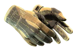 ★ Sport Gloves | Arid