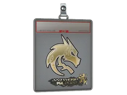 Sticker Slab | Team Spirit (Gold) | Antwerp 2022