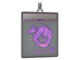 Sticker Slab | Outsiders (Holo) | Antwerp 2022