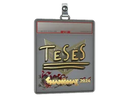 Sticker Slab | TeSeS (Gold) | Shanghai 2024