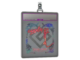 Sticker Slab | cool4st (Holo) | Austin 2025